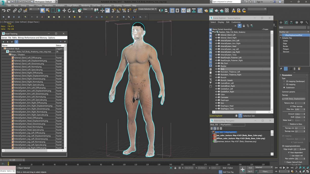 Realistic Male Full Body Anatomy 3D