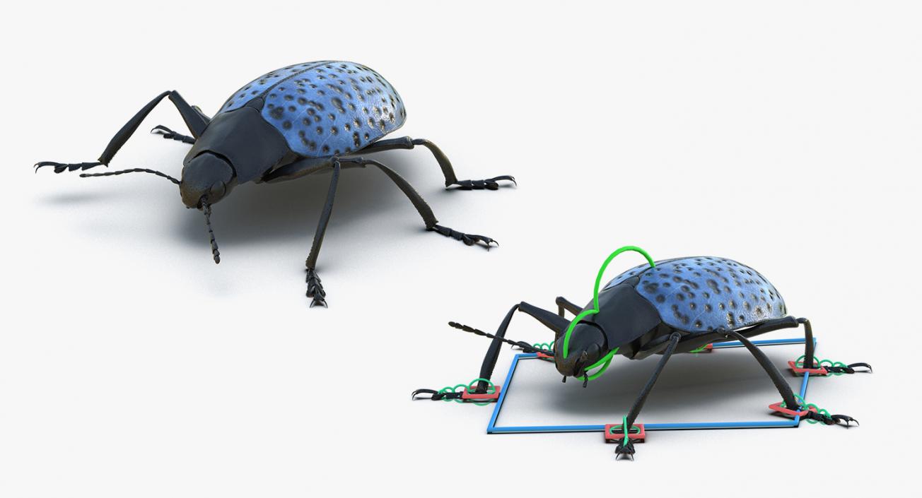 Insects Big Rigged 3D Models Collection 3D model