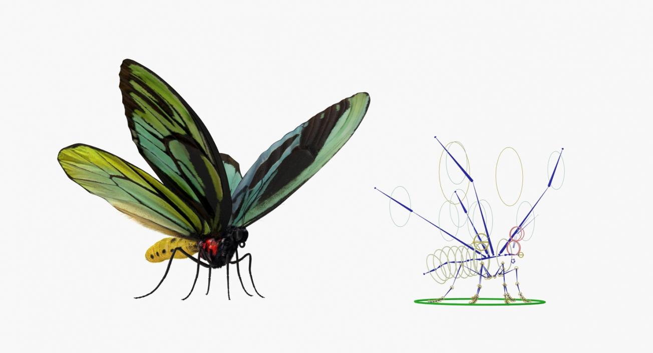 Insects Big Rigged 3D Models Collection 3D model