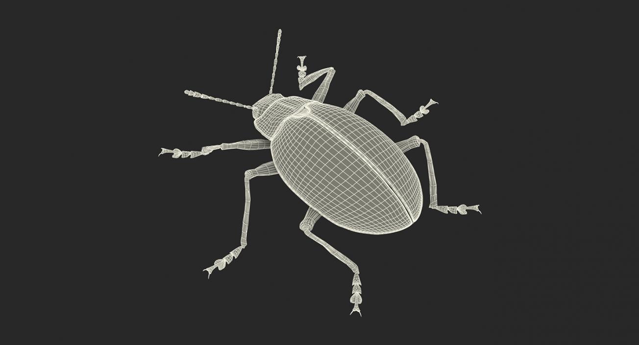 Insects Big Rigged 3D Models Collection 3D model