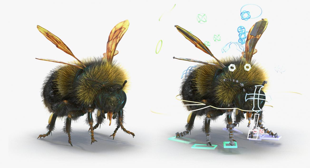 Insects Big Rigged 3D Models Collection 3D model