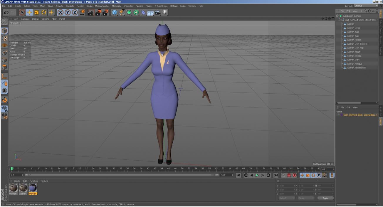 3D Dark Skinned Black Stewardess T Pose