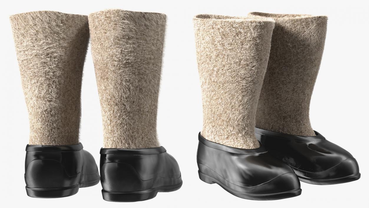 3D Traditional Felt Boots with Galoshes Black Fur