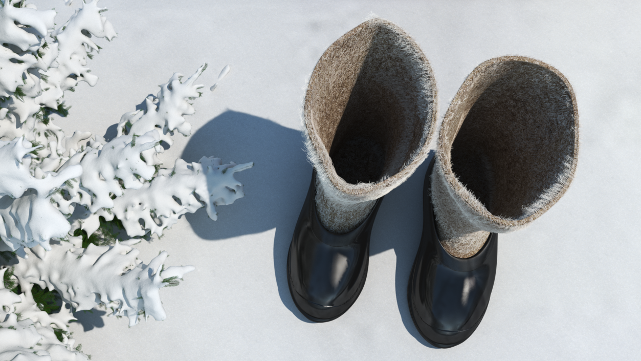 3D Traditional Felt Boots with Galoshes Black Fur