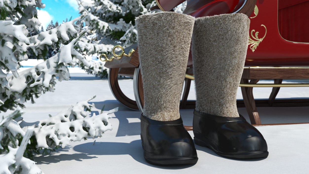 3D Traditional Felt Boots with Galoshes Black Fur