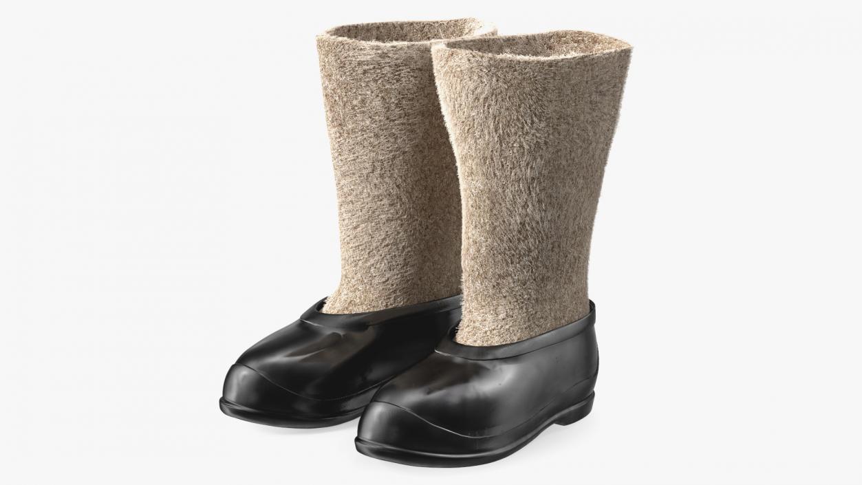 3D Traditional Felt Boots with Galoshes Black Fur