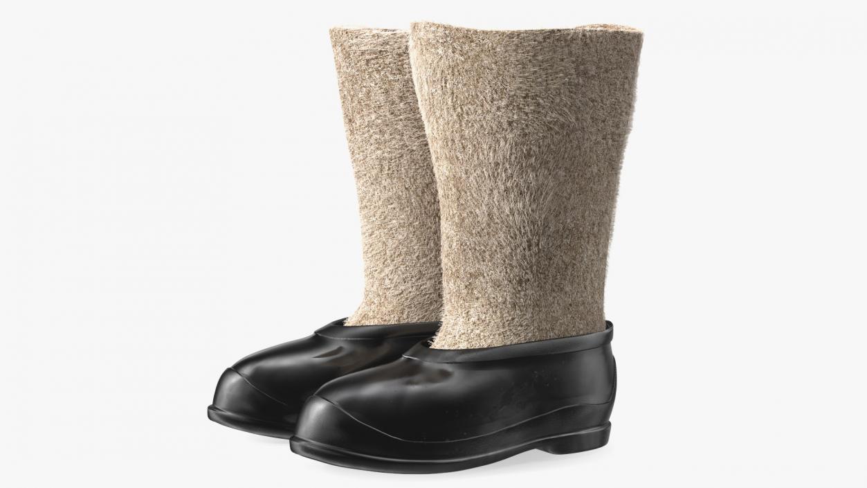 3D Traditional Felt Boots with Galoshes Black Fur