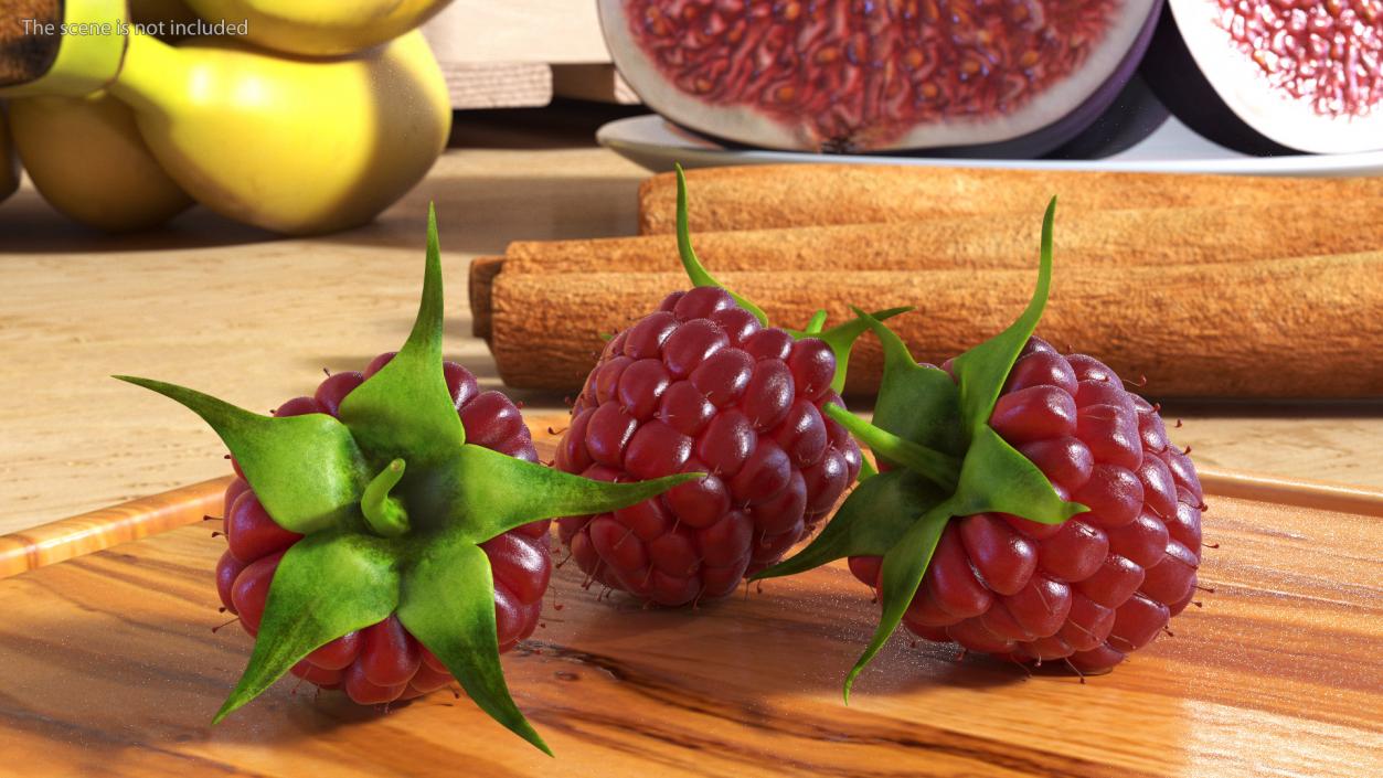 3D model Red Raspberry 2