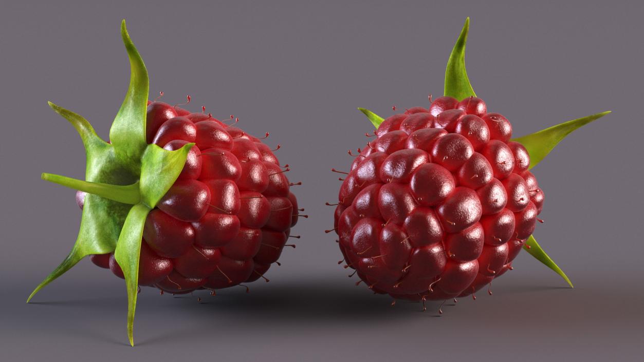 3D model Red Raspberry 2