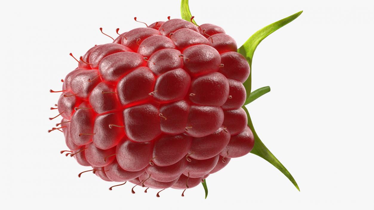 3D model Red Raspberry 2