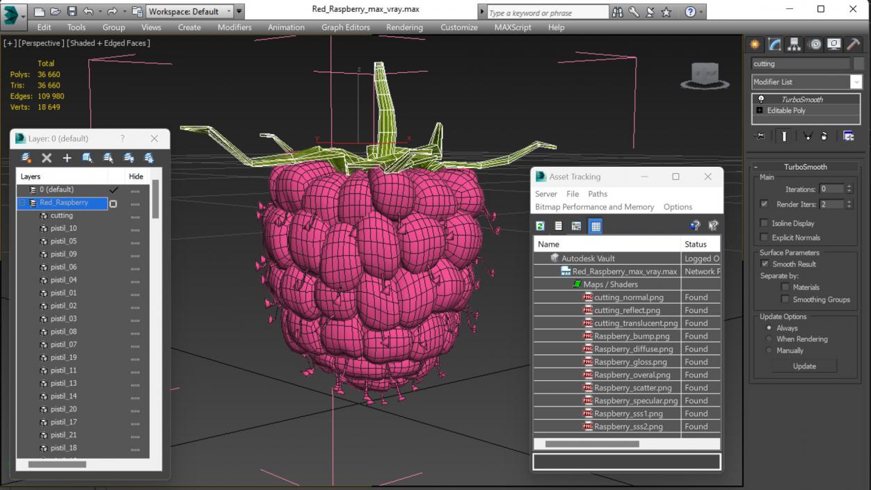 3D model Red Raspberry 2