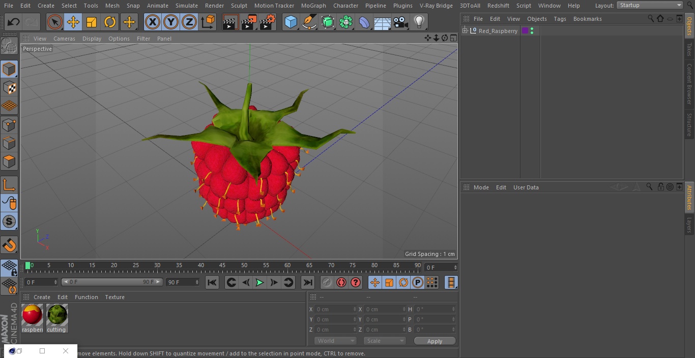 3D model Red Raspberry 2