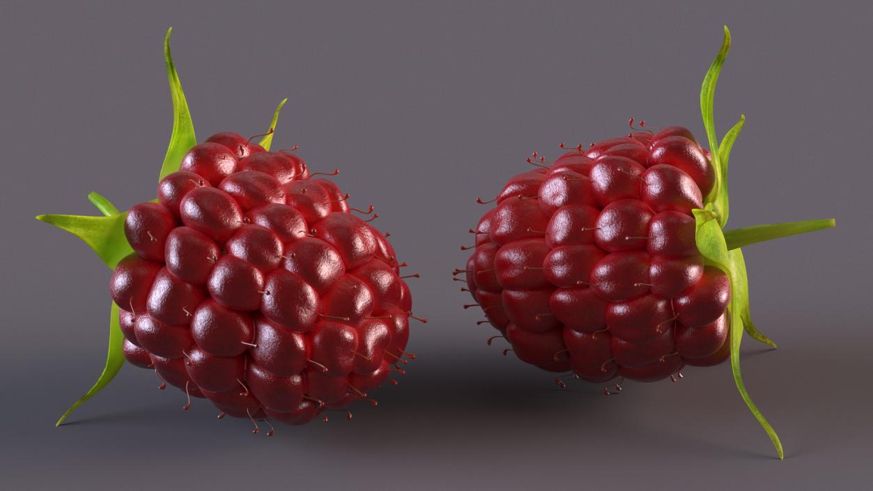 3D model Red Raspberry 2