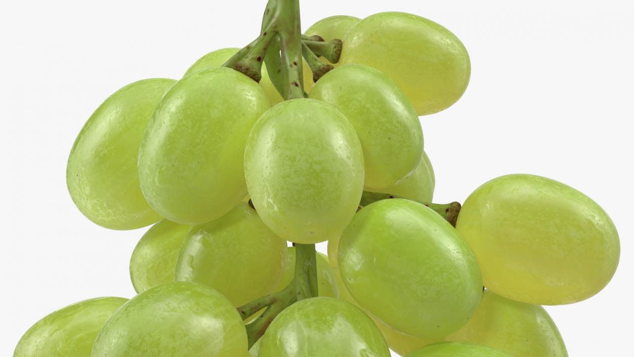 3D Cluster of Green Grapes model