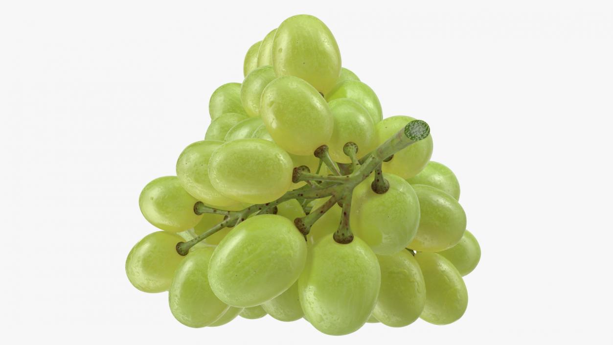 3D Cluster of Green Grapes model