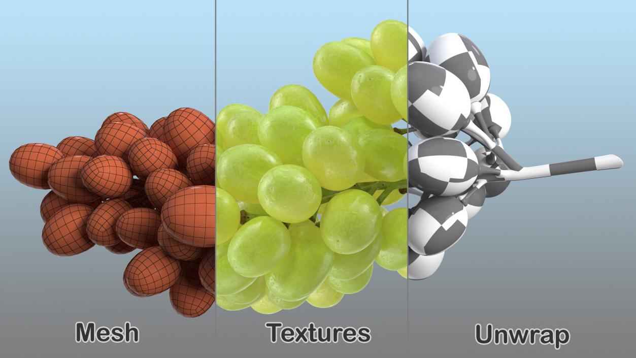 3D Cluster of Green Grapes model