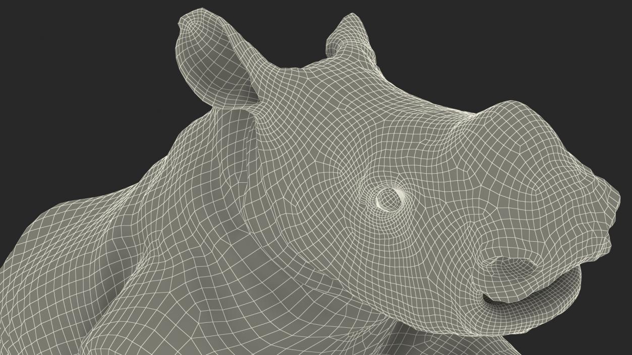 3D Baby Rhino Walking Pose model