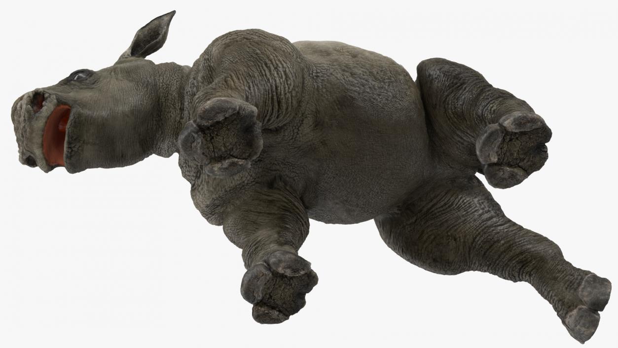 3D Baby Rhino Walking Pose model