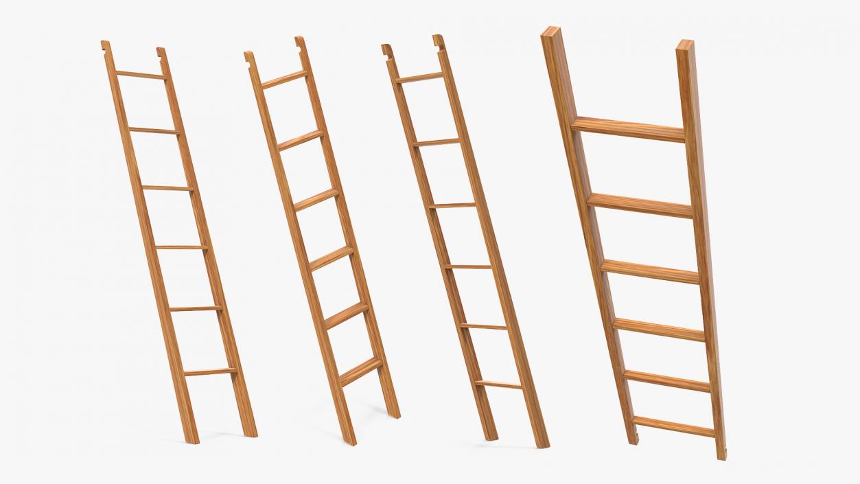 3D Wooden Library Ladder