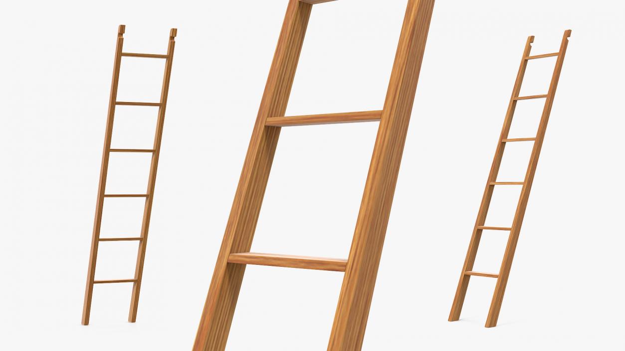 3D Wooden Library Ladder