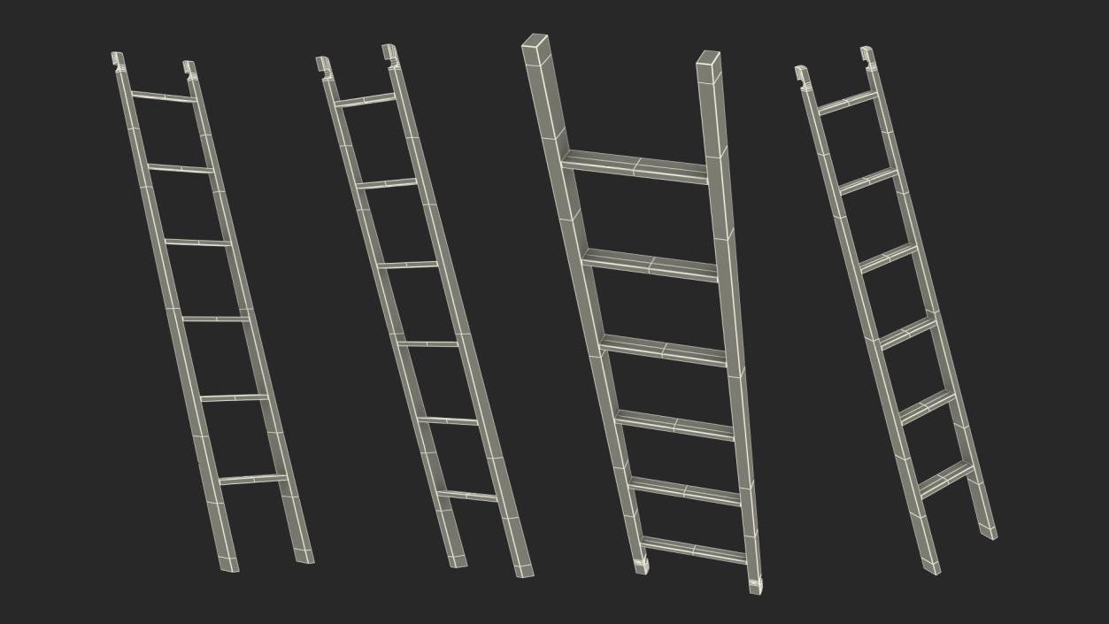 3D Wooden Library Ladder