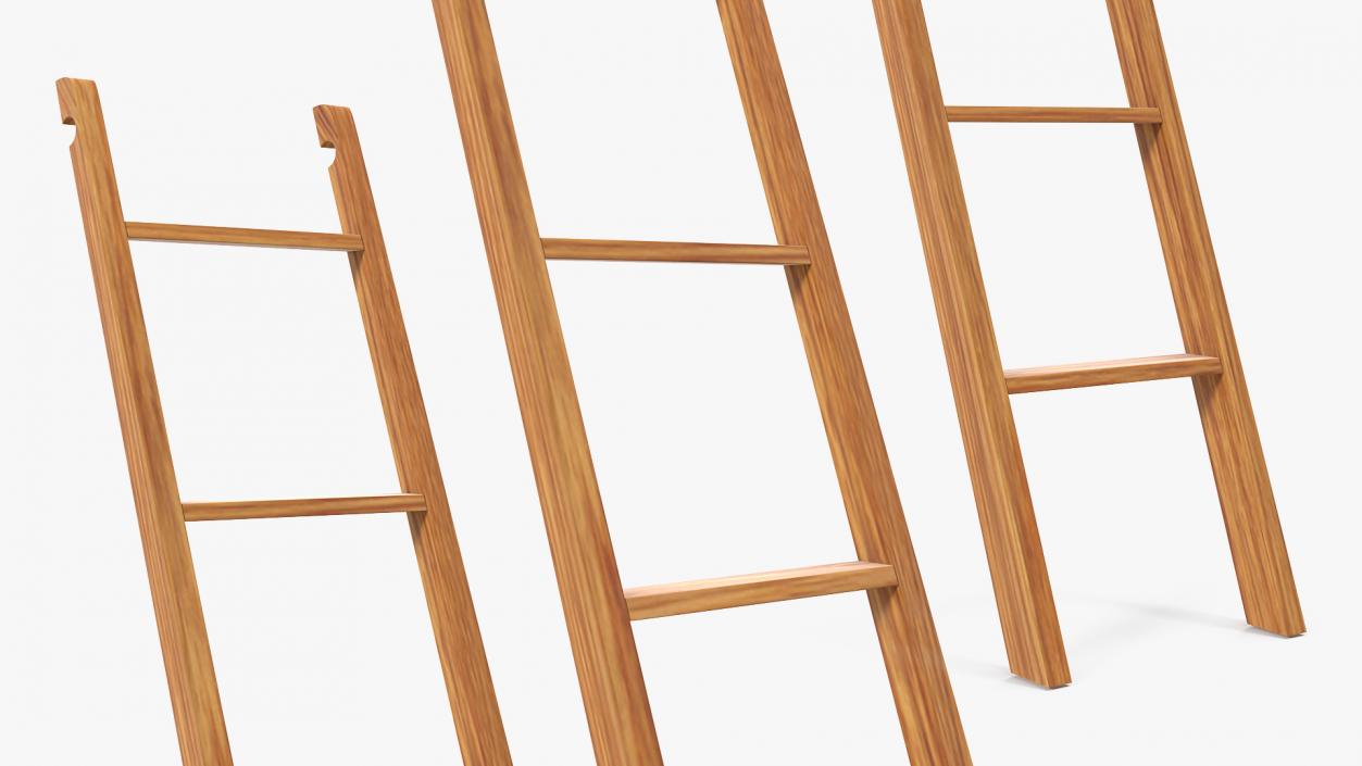 3D Wooden Library Ladder