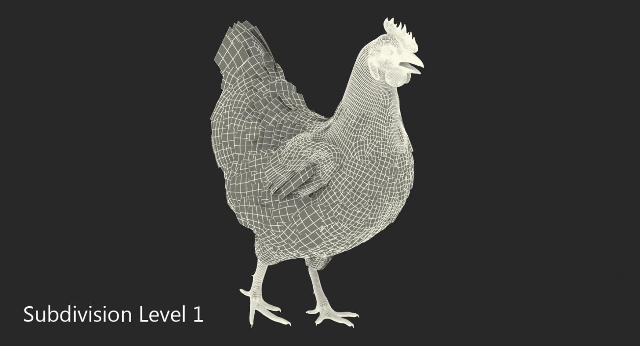 3D Brown Chicken Walking Pose