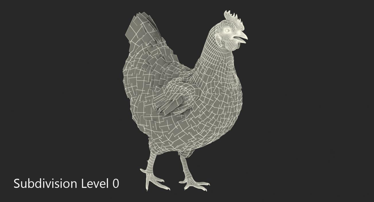 3D Brown Chicken Walking Pose