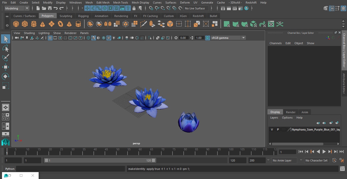 3D model Nymphaea Siam Purple Blue