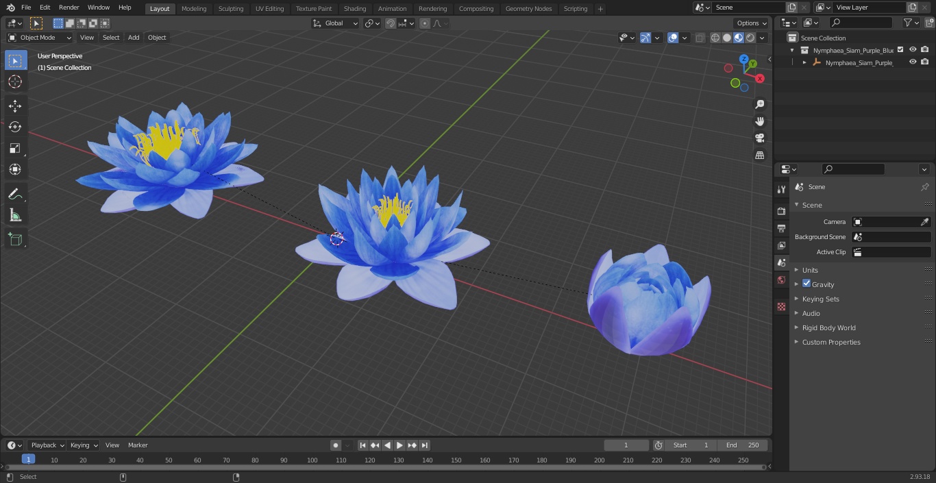 3D model Nymphaea Siam Purple Blue