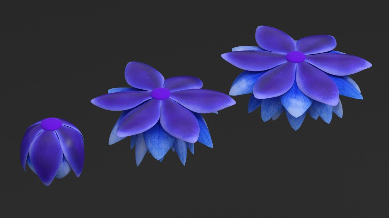 3D model Nymphaea Siam Purple Blue