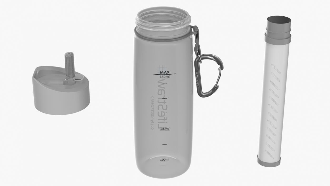 3D model Bottle LifeStraw Go Clear