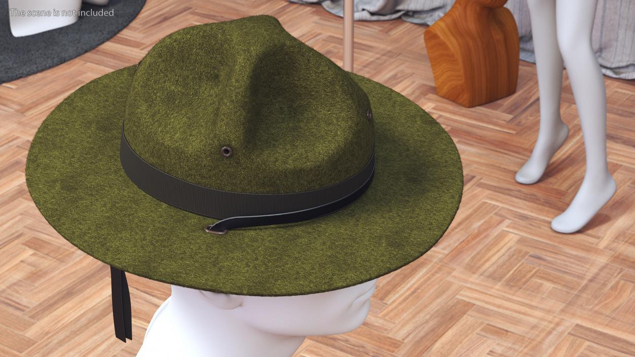 3D model Drill Sergeant Campaign Hat Green on Mannequin Fur