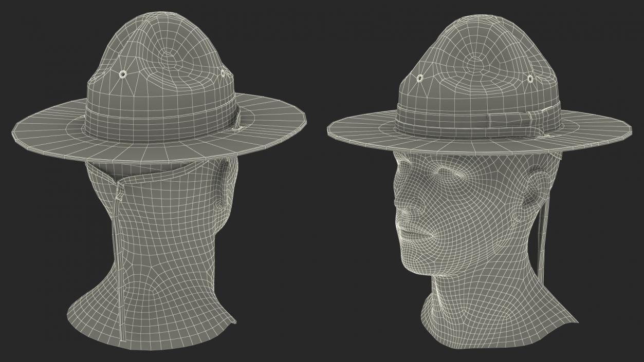 3D model Drill Sergeant Campaign Hat Green on Mannequin Fur