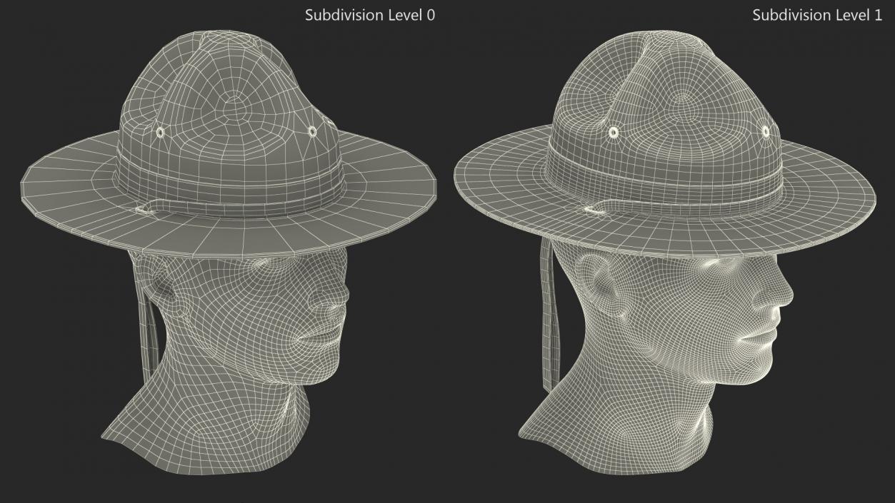 3D model Drill Sergeant Campaign Hat Green on Mannequin Fur