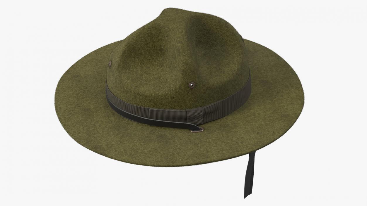 3D model Drill Sergeant Campaign Hat Green on Mannequin Fur