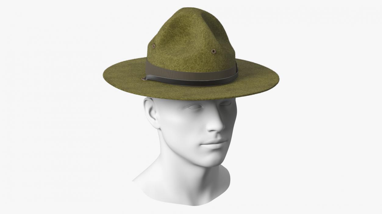 3D model Drill Sergeant Campaign Hat Green on Mannequin Fur