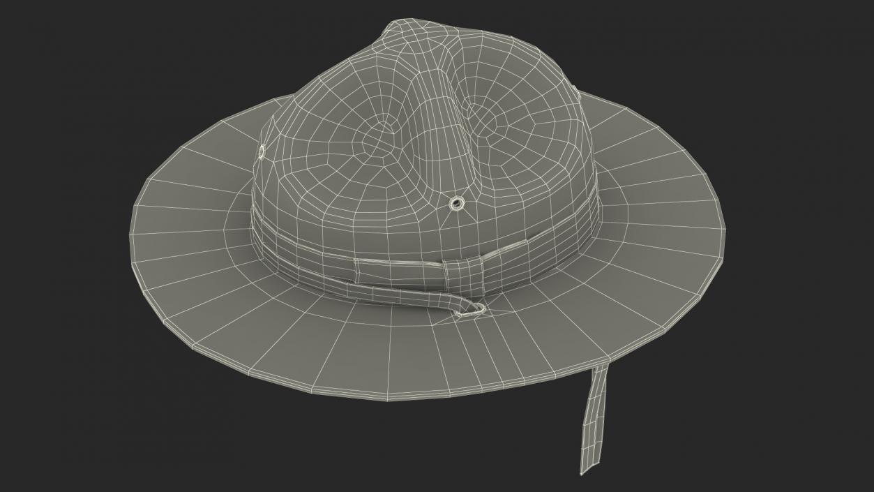 3D model Drill Sergeant Campaign Hat Green on Mannequin Fur