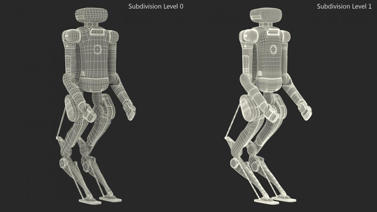 3D Digit Robot