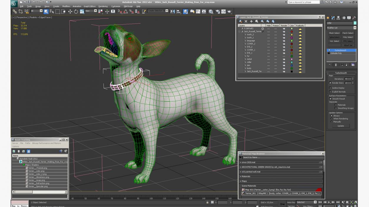 3D White Jack Russell Terrier Waiting Pose Fur model