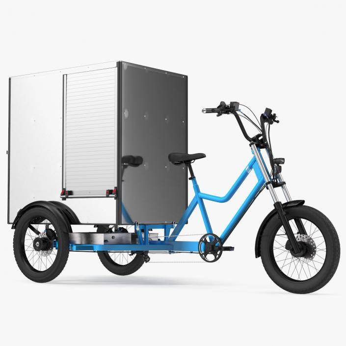 3D Commercial Grade Electric Trike with Cargo Box