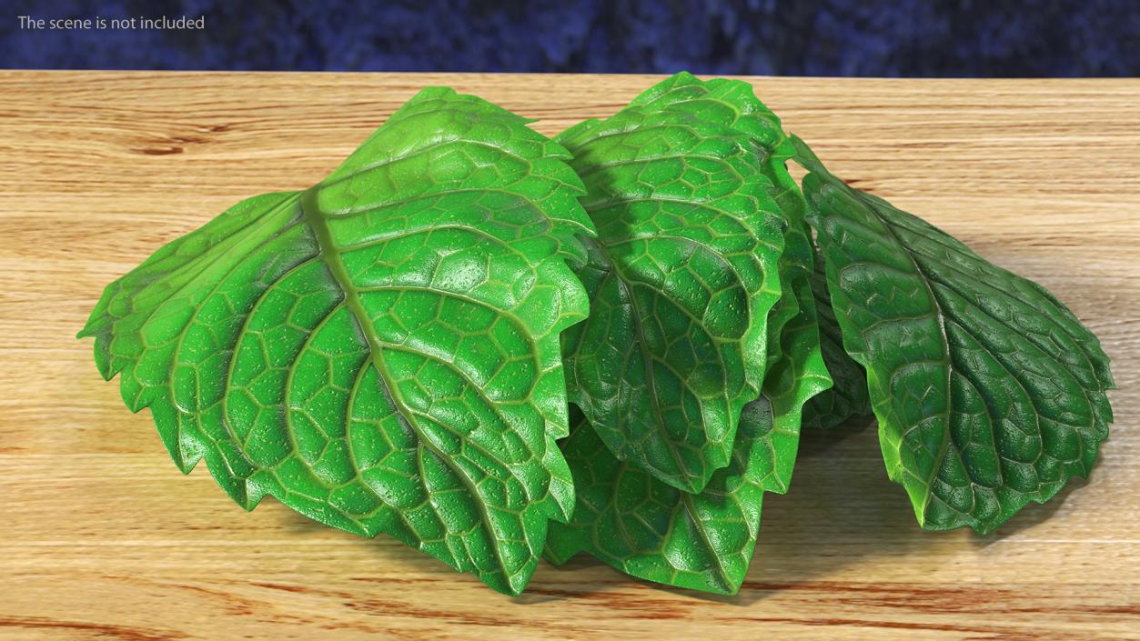 3D Bunch of Fresh Mint Leaves