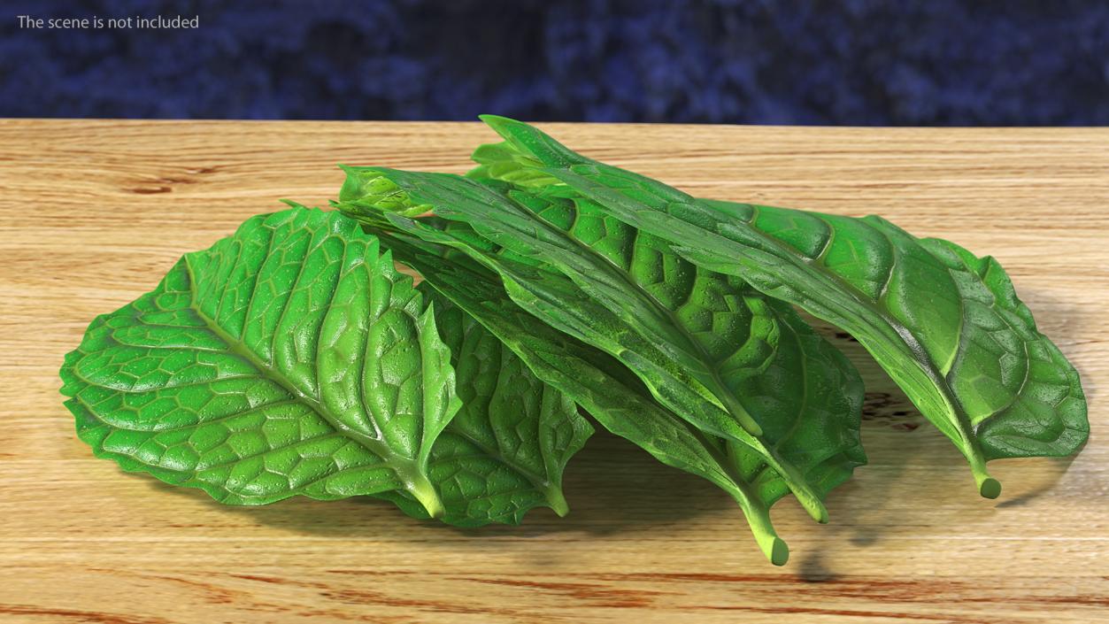 3D Bunch of Fresh Mint Leaves