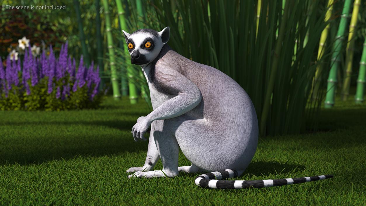 Lemur Rigged 3D