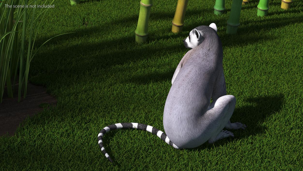 Lemur Rigged 3D