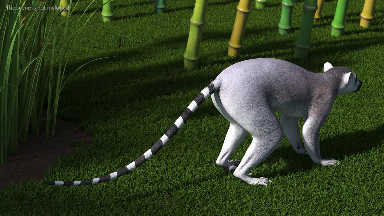 Lemur Rigged 3D