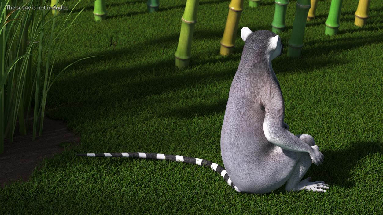 Lemur Rigged 3D