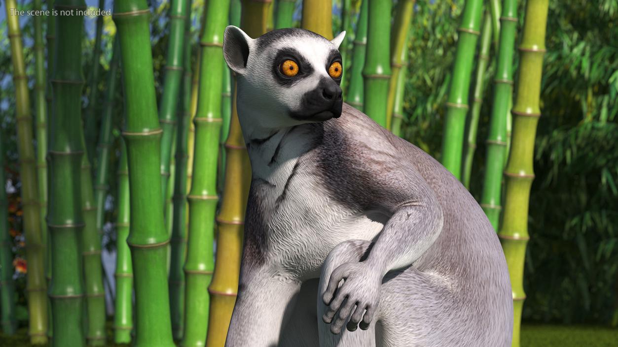 Lemur Rigged 3D