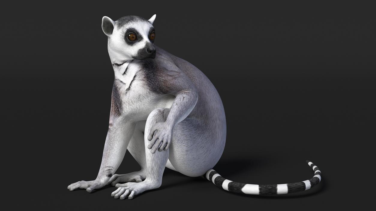 Lemur Rigged 3D