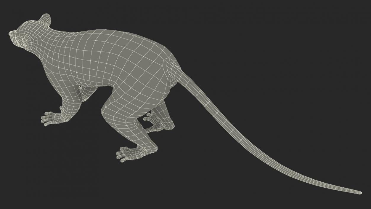 Lemur Rigged 3D